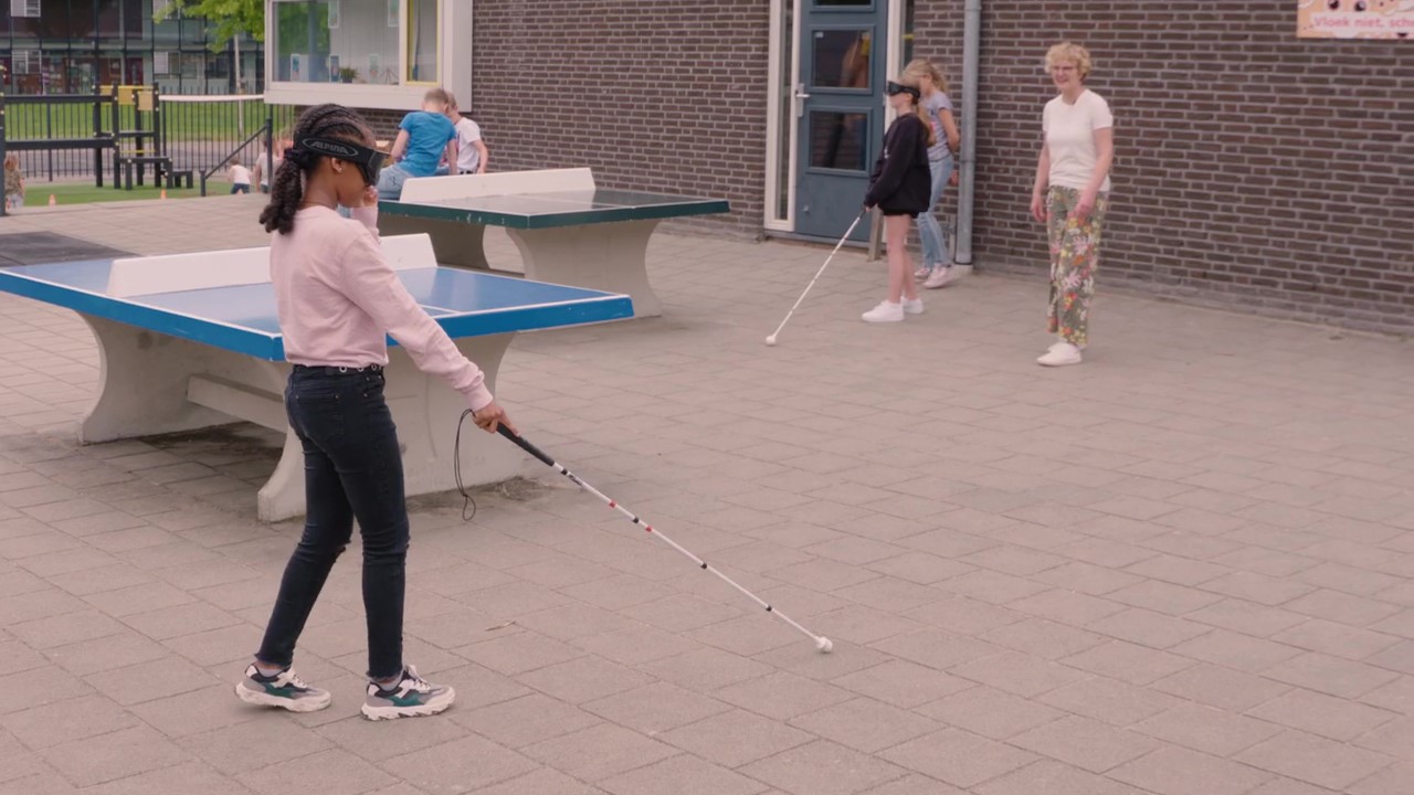 Kopafbeelding Stop voor de witte stok